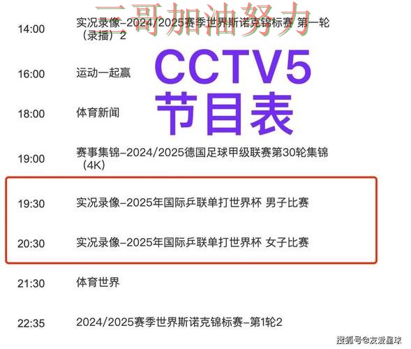 世界杯买球平台官网直达直播怎么看？揭秘给你答案（世界杯直播）